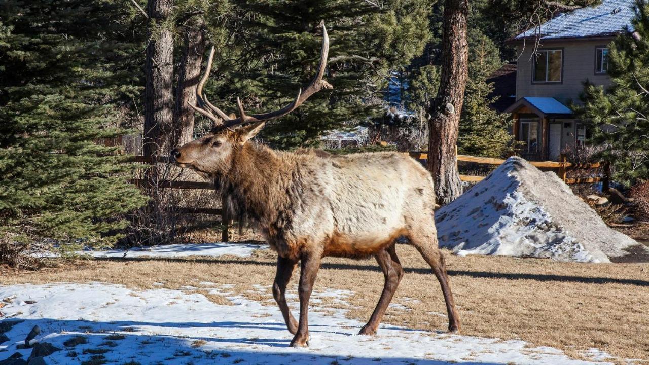 Beaver Brook On The River Hotel Estes Park Ngoại thất bức ảnh